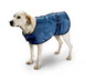 Dog Blanket