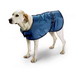 Dog Blanket