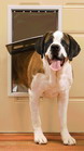 Freedom Metal Dog Door