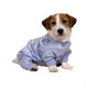 Sweet Dream Pajamas