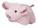 Look Whos Talking Pig