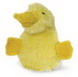 Duckworth Family Babay Splash