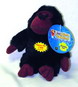 Look Whos Talking Chimpanzee