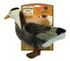 Outdoor Plush Waterfowl Dogtoy