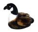 Plush Dog Toy