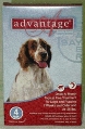 Advantage Flea Control 4 Pack