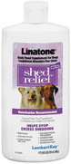Shed Relief Dog