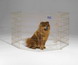 8 Panel Exercise Pen