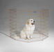 8 Panel Exercise Pen