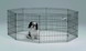 8 Panel Exercise Pen