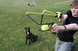 Hyper Dog Launcher - Ball Launcher - 2 Ball