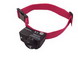 Radio Fence Systems Ultra Light Extra Receivers