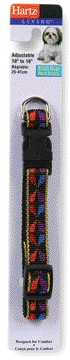 Collar Aj 10-16x5/8 Fashion  3