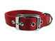 Double Thck Nyln Dlx Dg Collar