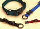 Adjustable Dog Collar