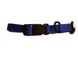 Adjustable Dog Collar