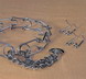 Chain Prong Training Collar