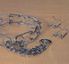 Chain Prong Training Collar