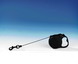Retractable Cord Leash