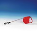 Retractable Cord Leash