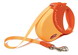 Leash Expressn Rtrctbl Allbelt