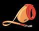 Leash Expressn Rtrctbl Allbelt