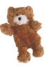 Dr. Noys Teddy  Bear