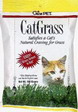 Cat Grass