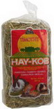 Timothy Hay Kobs