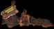 Reptile Mopani Wood