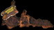 Reptile Mopani Wood