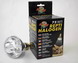 Reptile Halogen Bulb
