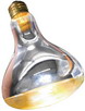 Basking Spot Lamp