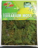 Terrarium Moss