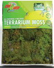 Terrarium Moss