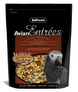 Parrot Avn Entr Wild/spicy Fd