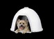 Petmate Medium Dogloo Igloo Xt (medium; 25.25"l X 26"w X 18.5"h)