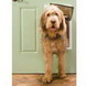 Petsafe Plastic Pet Door (large; For Doors 0.06"-1.75"thick; Opening: 10.13"w X 15.75"h)