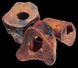 Redbarn 3"- 4" Meaty Bone (3"-4"length)