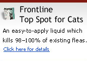 Frontline