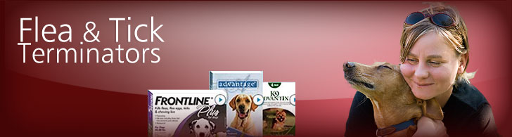 Flea & Tick Terminators